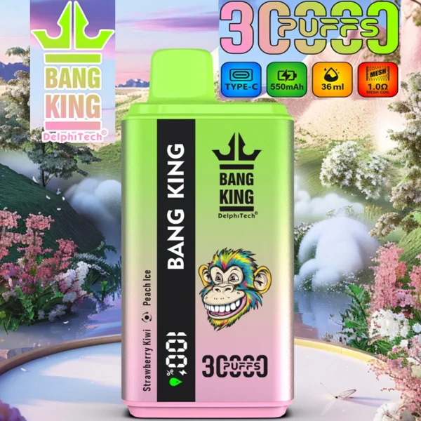 Bang King 30000 Puff 雙重口味大容量電子煙 LED 顯示