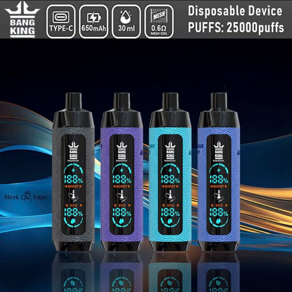 Bang King Shisha 25000 自帶LED顯示屏一次性電子煙